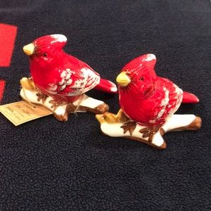Brand new Cardinals Park designs salt & pepper Set